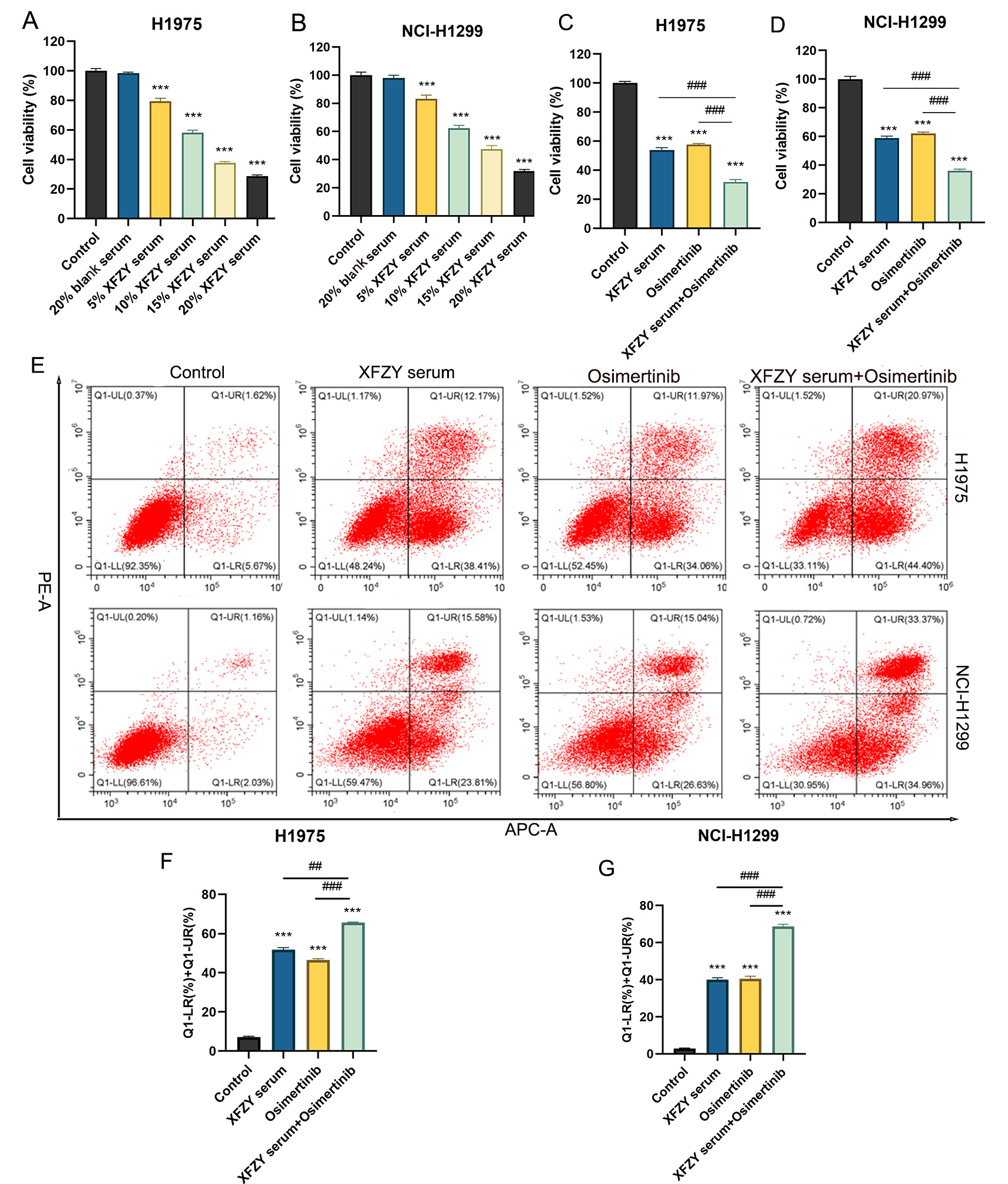 The effects of the combination of XFZY serum and Osimertinib on
the proliferation and apoptosis of NSCLC cell lines. A CCK8 assay was performed
to detect cell viability, (A) H1975 and (B) NCI-H1299 cell viability under 5%,
10%, 15%, and 20% XFZY serum treatment; and (C) H1975 and (D) NCI-H1299 cell
viability under XFZY serum and Osimertinib treatment each or in combination. (E)
Flow cytometry was performed to detect cell apoptosis, and a bar chart was used
to analyze the apoptosis of the (F) H1975 and (G) NCI-H1299 cell lines. Compared
with the control group, ***p < 0.001; compared with the XFZY
serum + Osimertinib group, ##p < 0.01, ###p
< 0.001. XFZY: XueFu ZhuYu; NCI: National Cancer Institute; PE-A:
Phycoerythrin-Area; APC-A: Allophycocyanin-Area.
