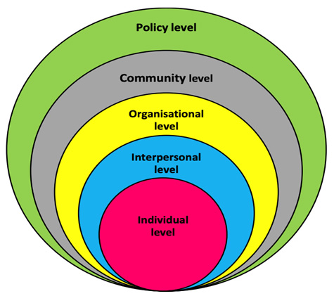 The socio-ecological model (SEM). Source: McLeroy et 
al. [17].
