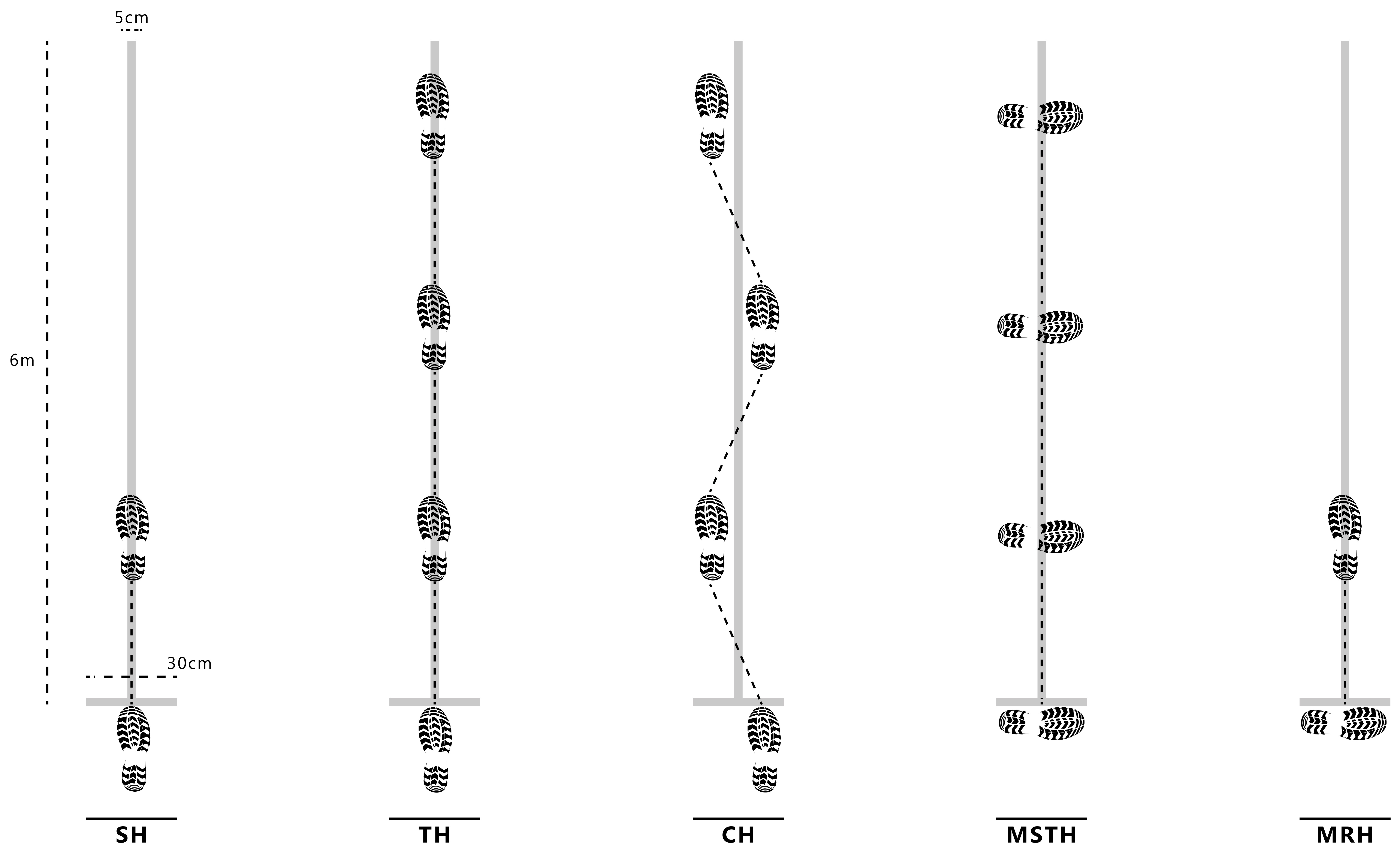 Single leg hop tests. SH: single hop for distance; TH: triple
hop for distance; CH: cross triple hop for distance; MSTH: medial side triple hop
for distance; MRH: medial rotation (90°) hop for distance.