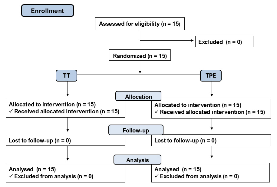 CONSORT diagram. TT: Traditional training; TPE: Training
preceded by electrostimulation.