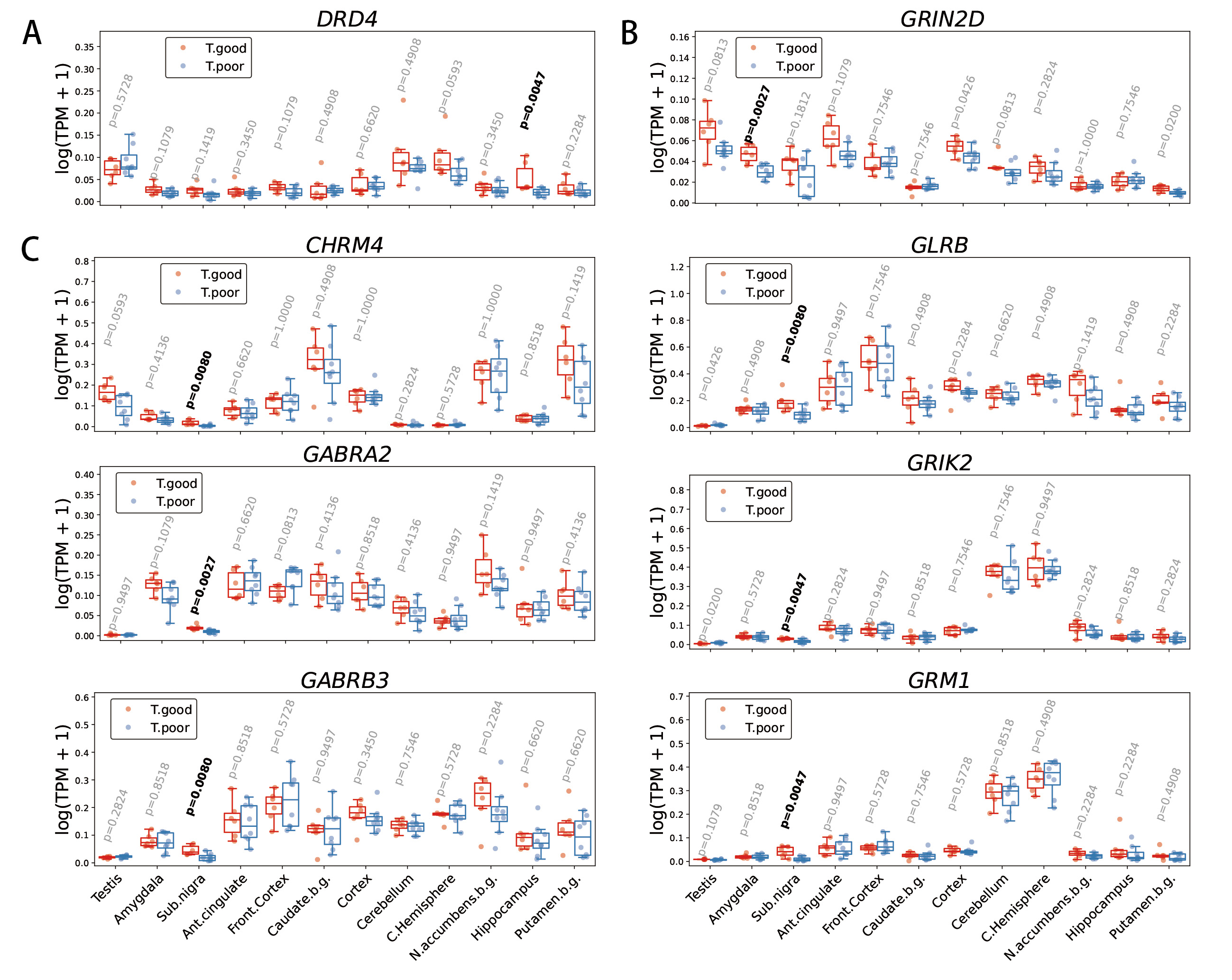 Differentially expressed brain neurotransmitter receptors
associated with testis function. (A) The dopamine receptor gene DRD4
was downregulated in the hippocampus of subjects in the T.poor group. (B) The
glutamate receptor gene GRIN2D was downregulated in the amygdala of
T.poor subjects. (C) Several neurotransmitter receptor genes were downregulated
in the substantia nigra of T.poor subjects. DRD4, D(4) dopamine
receptor; GRIN2D, glutamate receptor ionotropic; CHRM4,
muscarinic acetylcholine receptor M4; GLRB, glycine receptor subunit
beta; GABRA2, gamma-aminobutyric acid receptor subunit alpha-2;
GRIK2, glutamate receptor ionotropic, kainate 2; GABRB3,
gamma-aminobutyric acid receptor subunit beta-3; GRM1, metabotropic
glutamate receptor 1.