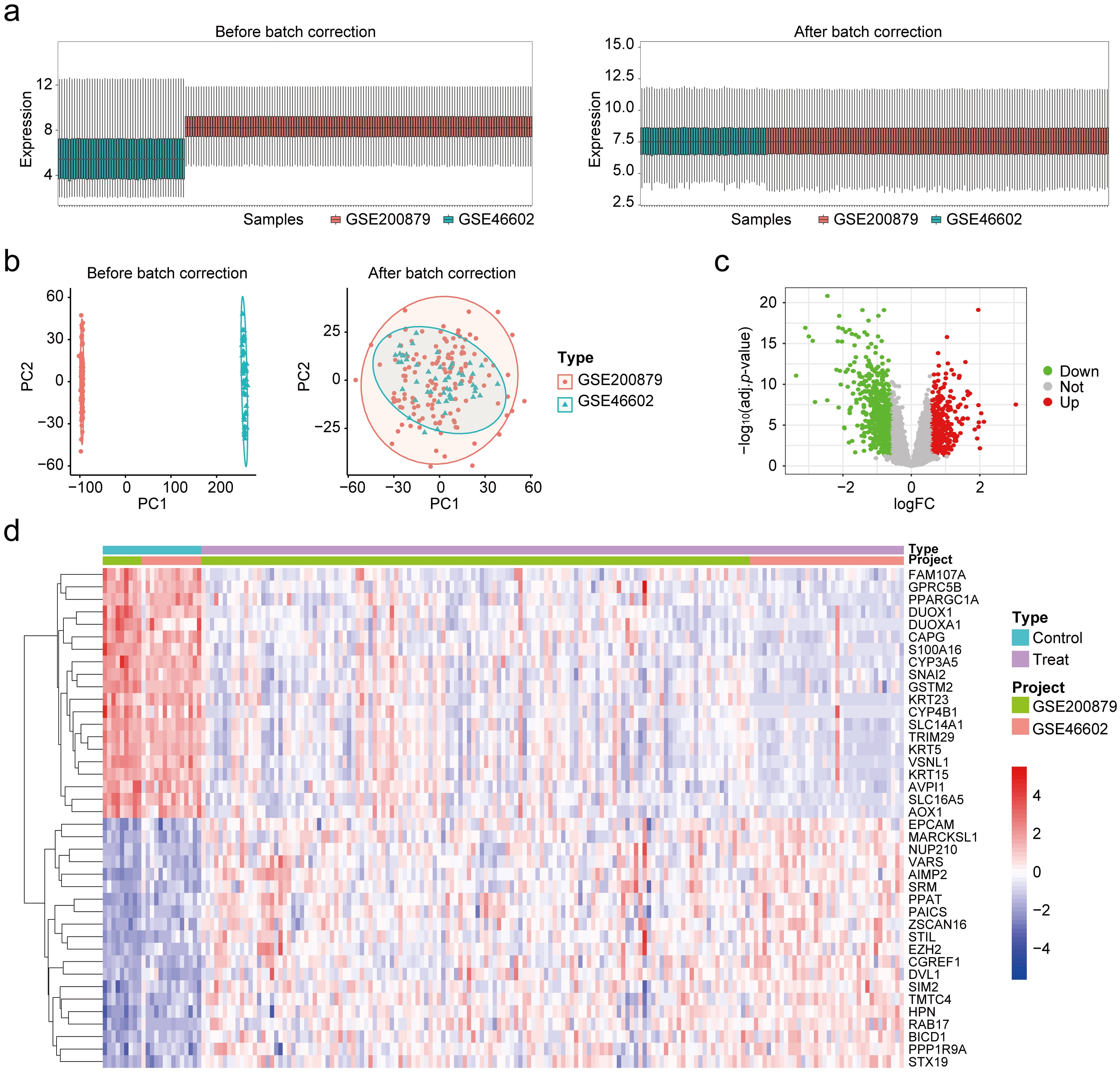 Identification of DEGs based on bulk RNA-seq data. (a) Batch 
effect correction across datasets. (b) Principal component analysis (PCA) before 
and after batch effect correction. (c) Volcano plot of DEGs. Upregulated genes 
are shown in red, downregulated genes in green, and non-significant genes in 
gray. (d) Heatmap of the top 20 upregulated and downregulated DEGs. Red and blue 
indicate high and low expression levels by logFC, respectively.