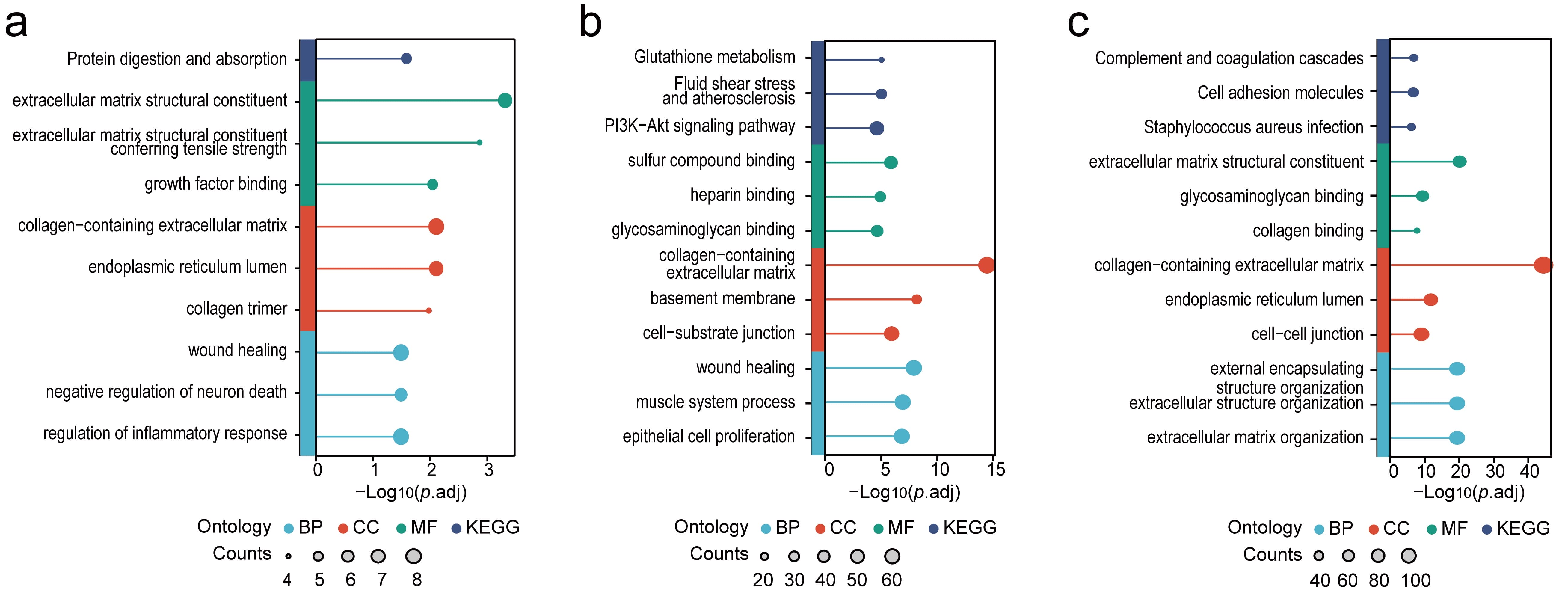 Results of GO and KEGG analysis. (a) GO and KEGG enrichment 
analysis of PCa-associated plasma proteins (PCa-PP), (b) DEGs derived from bulk 
RNA-seq data (bulk-DEGs), and (c) DEGs associated with spatial transcriptomics 
data (ST-DEGs). BP, biological processes; CC, cellular components; MF, molecular 
functions; KEGG, Kyoto Encyclopedia of Genes and Genomes; PI3K, 
Phosphatidylinositol 3-Kinase; Akt, Protein Kinase B.