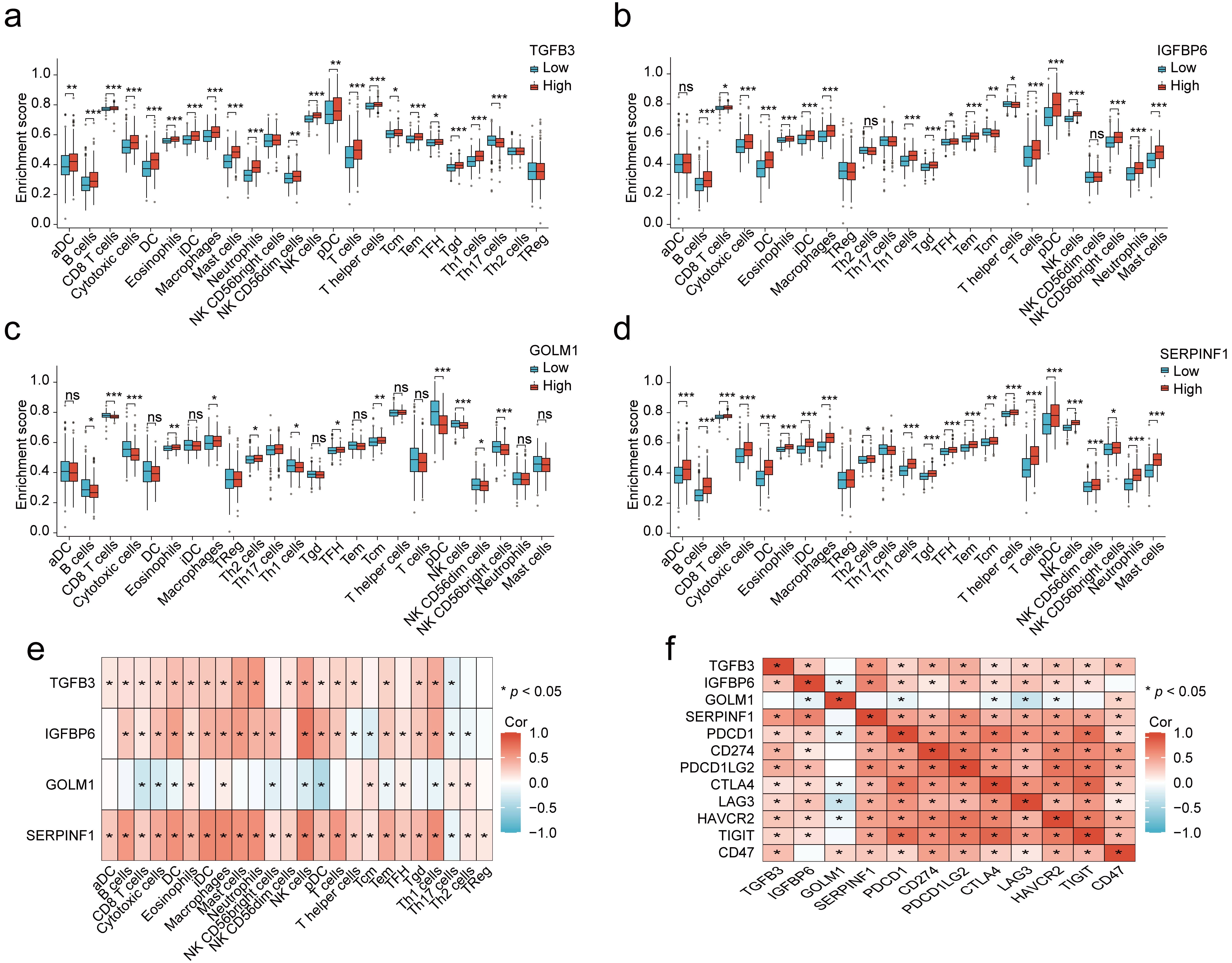 Immune microenvironment characteristics of key biomarkers in 
PCa. Boxplots comparing immune cell enrichment scores between high and low 
expression groups of (a) TGFB3, (b) IGFBP6, (c) GOLM1, and (d) SERPINF1. (e) 
Heatmap illustrating the correlation between key biomarkers and immune cell types 
in the TCGA-PRAD cohort. Positive correlations are shown in red, while negative 
correlations are shown in blue. (f) Heatmap showing the correlation between key 
biomarkers and immune checkpoint genes in the TCGA-PRAD cohort. Statistical 
significance is denoted by *, **, and *** for p < 0.05, p < 
0.01, and p < 0.001, respectively.