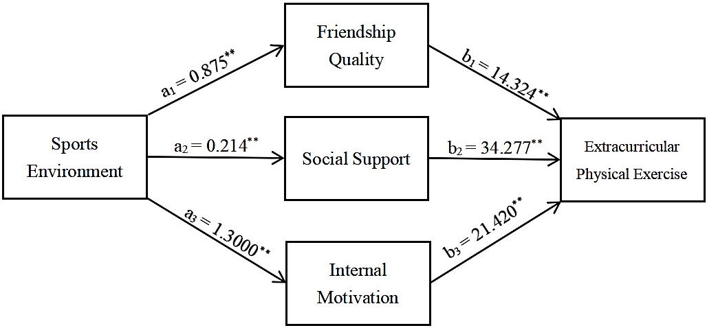A technical pathway diagram of the impact of
the physical environment on children and adolescents’ extracurricular physical
activity. **p < 0.001.