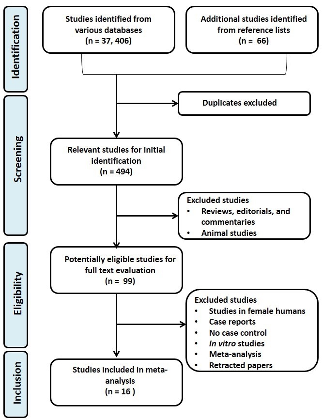 PRISMA flowchart for the strategic identification, screening, 
and inclusion of eligible studies.