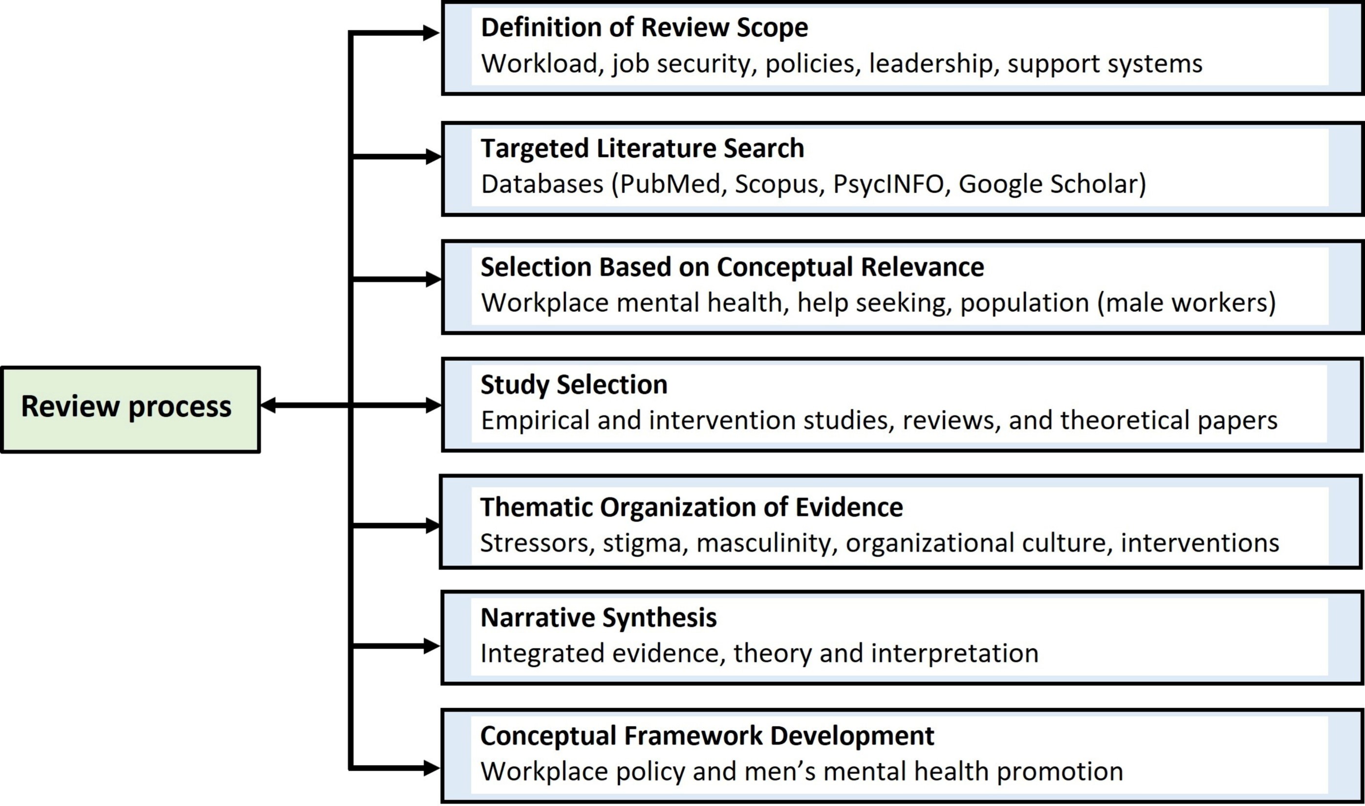 Methodological overview of the narrative review.