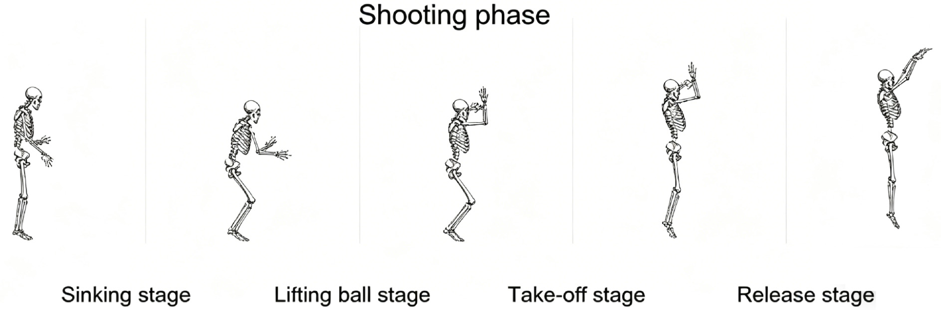 Delineation of shooting phases.