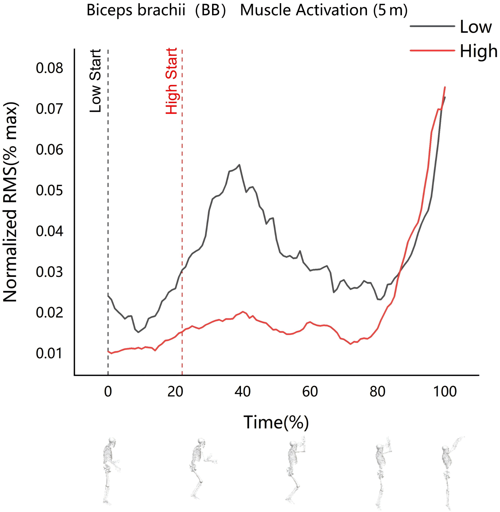 Biceps brachii activation (5 m shooting). Low Start: The
position where activation begins at a low level. High Start: The position where
activation begins at a high level. RMS: root mean square.