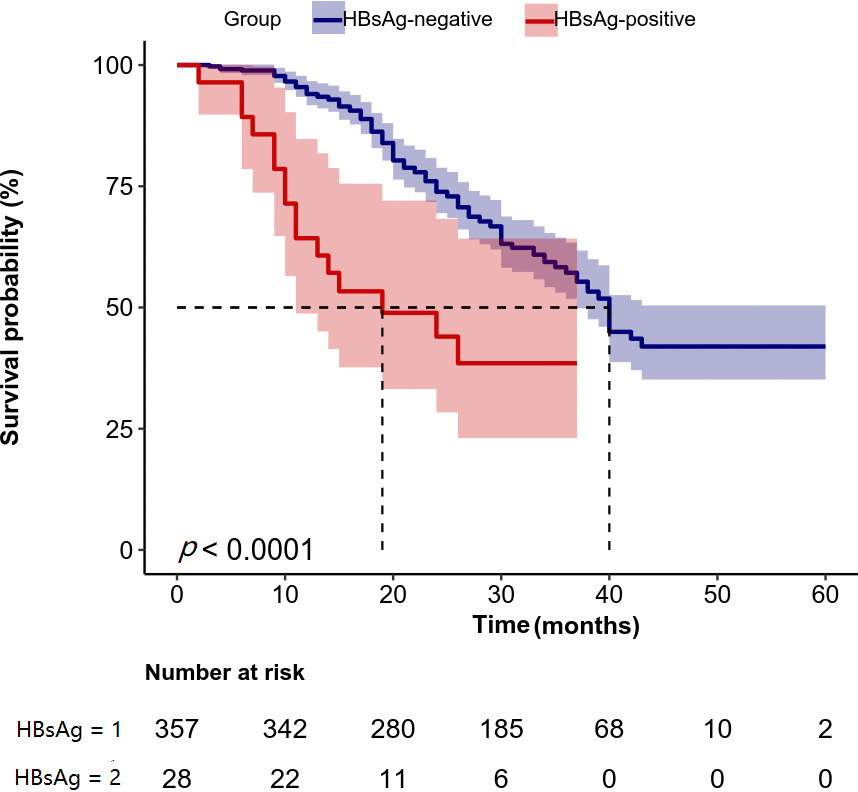 K-M survival curves of the two groups after receiving CAB
therapy. The endpoint of this study was the diagnosis of CRPC; HBsAg = 1:
HBsAg-negative group; HBsAg = 2: HBsAg-positive group. HBsAg: hepatitis B virus
surface antigen.