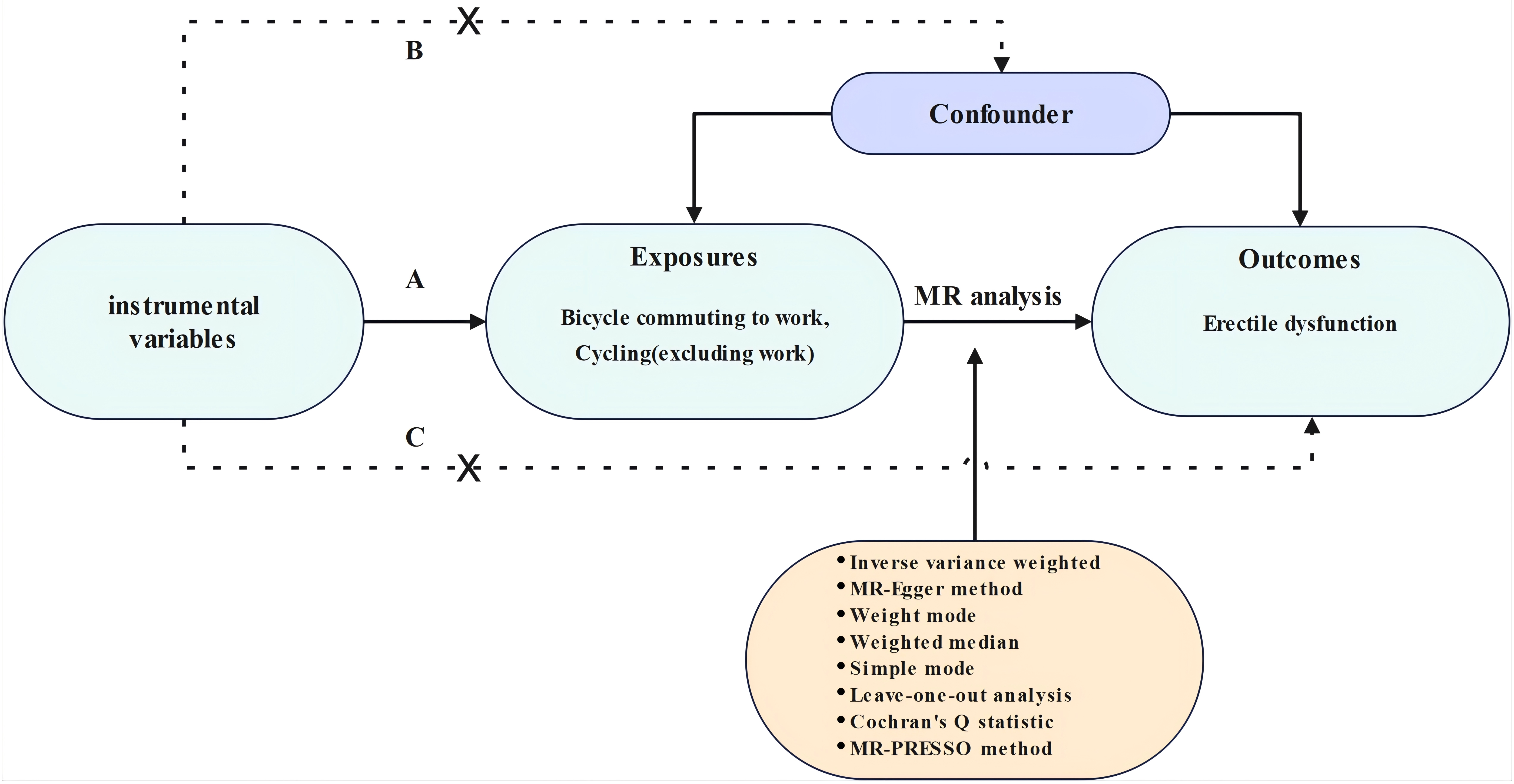 Flowchart of the two-sample Mendelian randomization study. MR,
Mendelian randomization; MR-PRESSO, Mendelian Randomization Pleiotropy RESidual
Sum and Outlier.