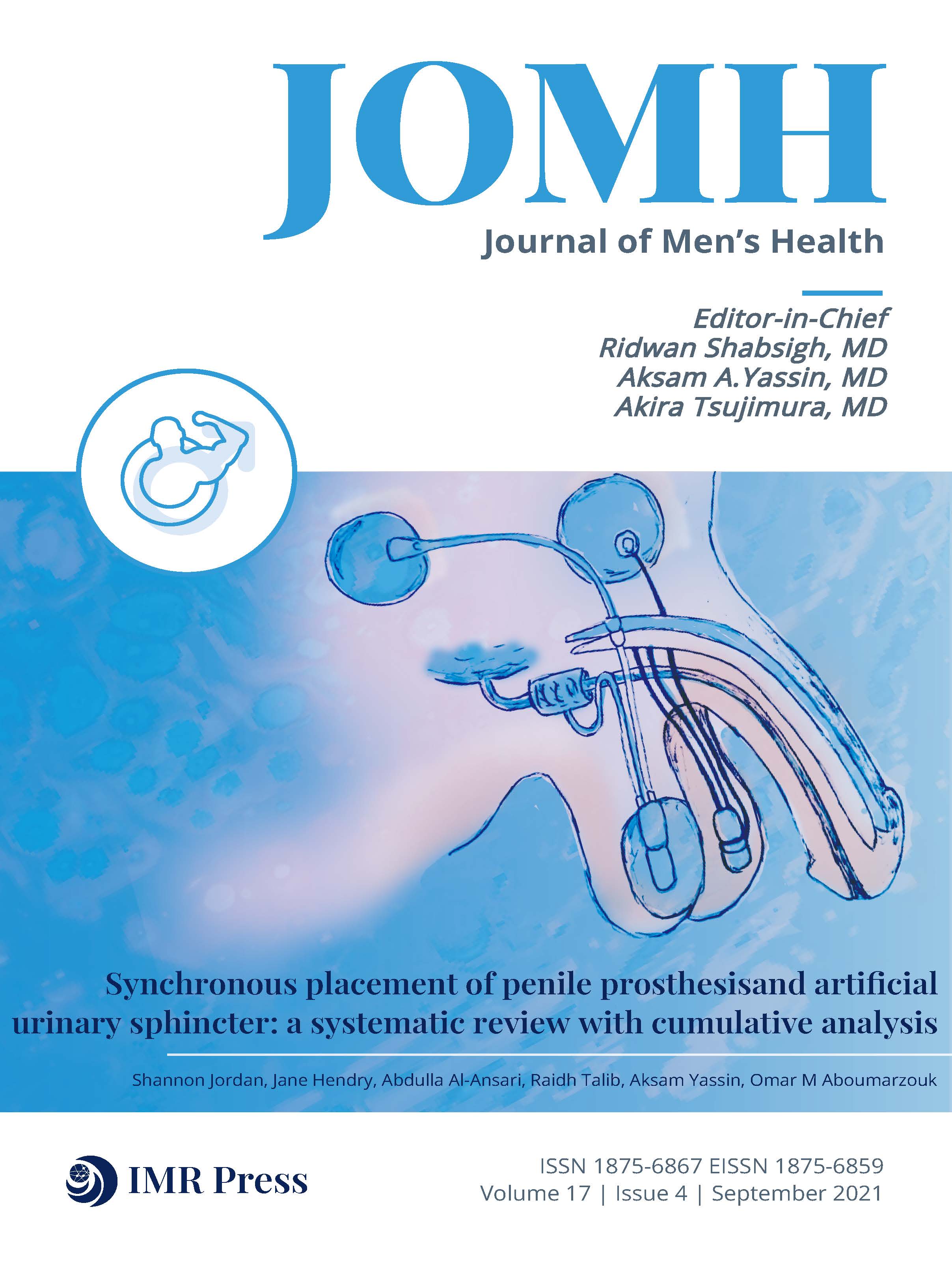 JOMH Volume 17 Issue 4 cover